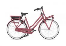 Gazelle Miss Grace C7+ HMB