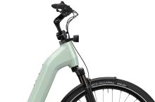 Flyer Gotour 5.43 Da M frosty sage 750