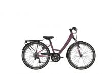 Pegasus Avanti 26 7NR W