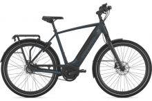 Gazelle Ultimate C8+ Belt Ultimate HMB