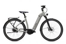Flyer Gotour6 5.41 R Da L silver 625